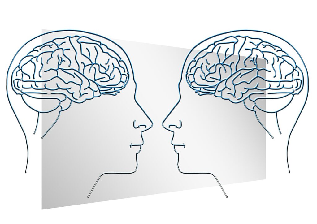 face, silhouette, brain