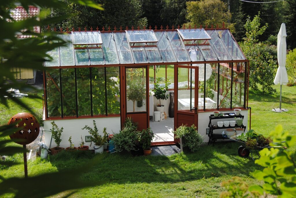 greenhouse, summer, grow